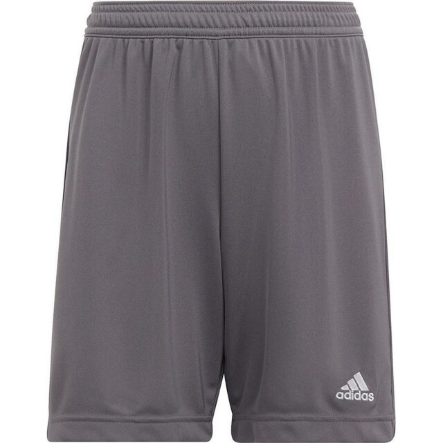 Adidas Kinderen/kinderen entrada 22 korte broek UTMR78531_grey large