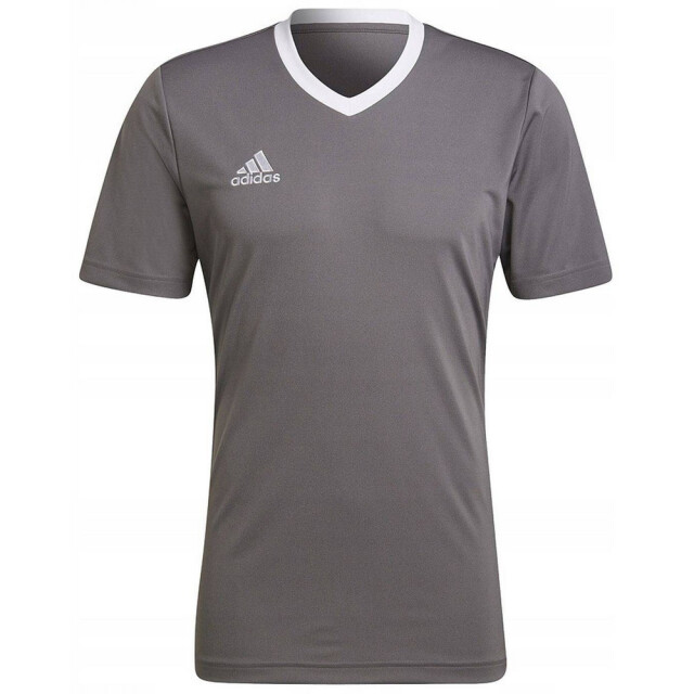 Adidas Heren entrada 22 jersey UTMR78480_grey large