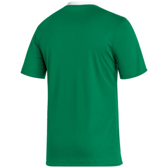 Adidas Heren entrada 22 jersey UTMR78480_green large