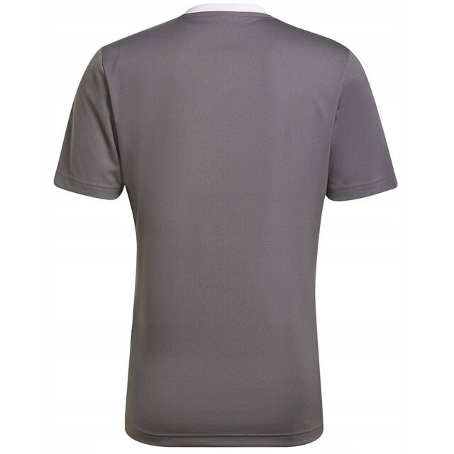 Adidas Heren entrada 22 jersey UTMR78480_grey large