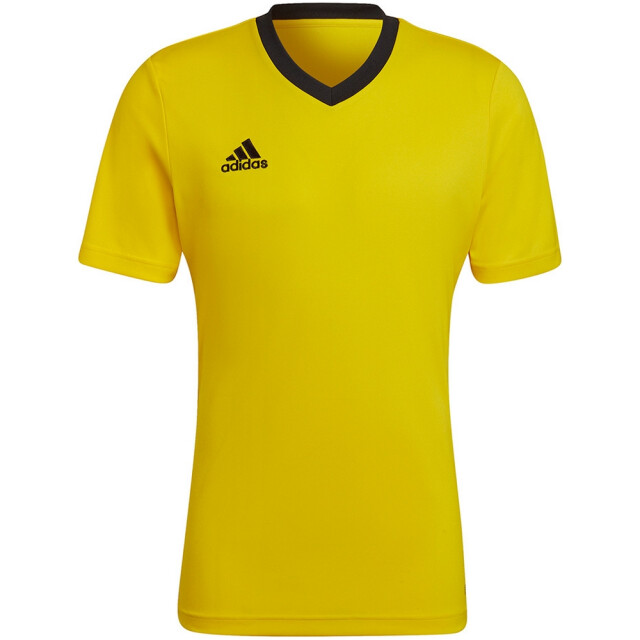 Adidas Heren entrada 22 jersey UTMR78480_yellow large