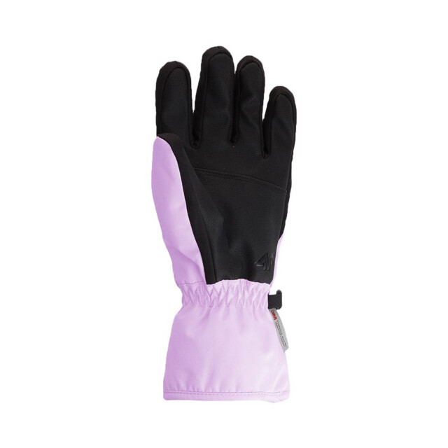 4F Dames aw23afglf099 skihandschoenen UTMR78458_violet large