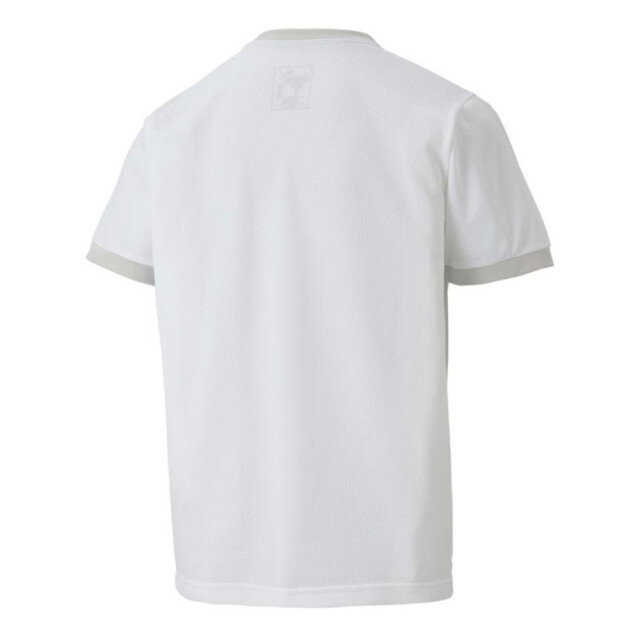 Puma Teamgoal 23 jersey voor kinderen/kinderen UTMR78092_white large