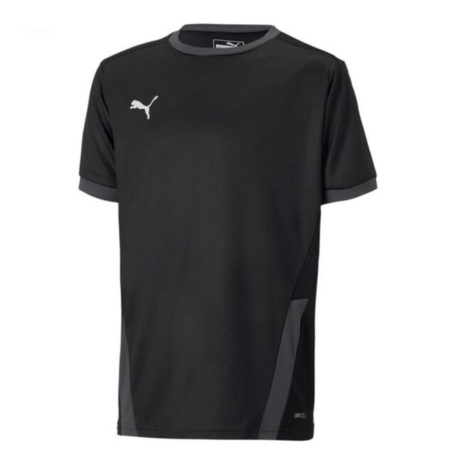 Puma Teamgoal 23 jersey voor kinderen/kinderen UTMR78092_black large
