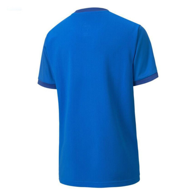 Puma Teamgoal 23 jersey voor kinderen/kinderen UTMR78092_blue large