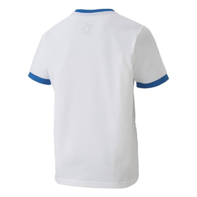 Puma Teamgoal 23 jersey voor kinderen/kinderen UTMR78092_whiteblue large