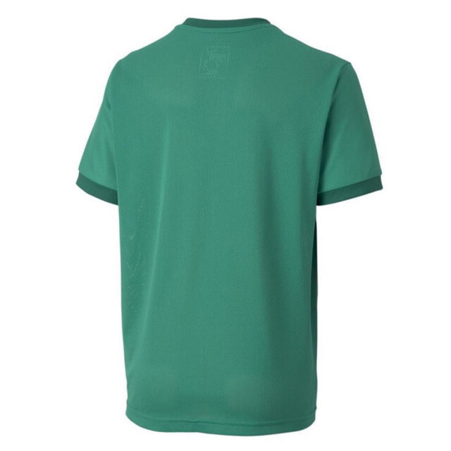 Puma Teamgoal 23 jersey voor kinderen/kinderen UTMR78092_green large