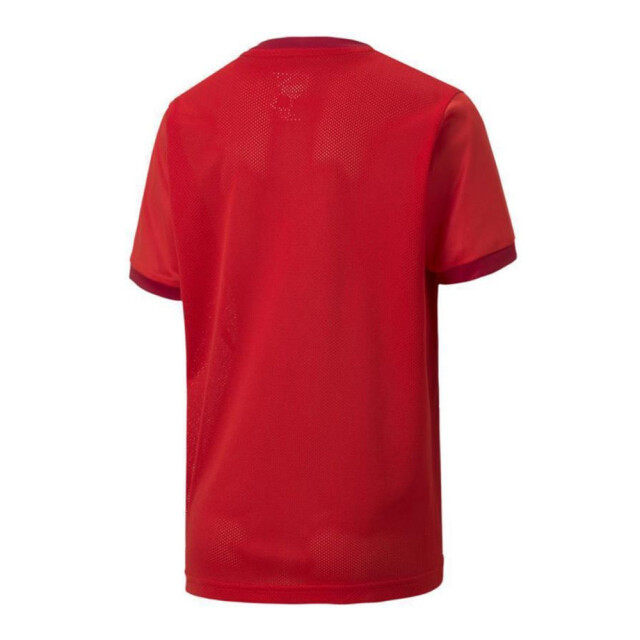 Puma Teamgoal 23 jersey voor kinderen/kinderen UTMR78092_red large
