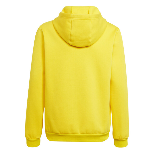 Adidas Kinderen/kinderen entrada 22 hoodie UTMR496_yellow large