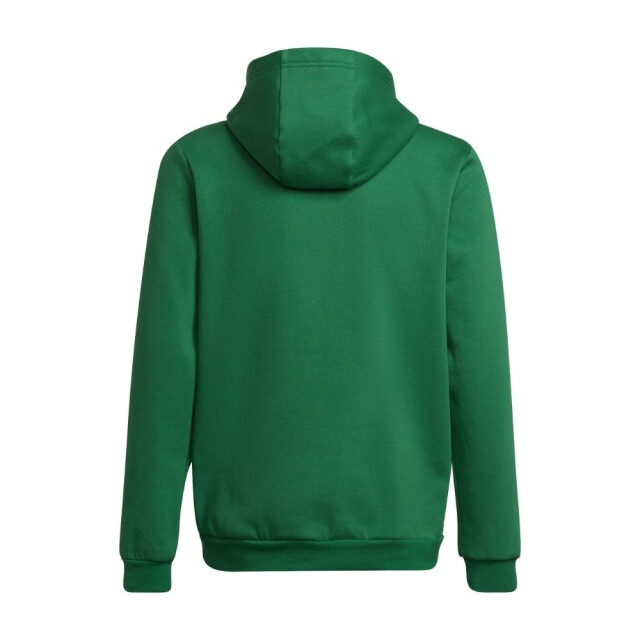 Adidas Kinderen/kinderen entrada 22 hoodie UTMR496_green large