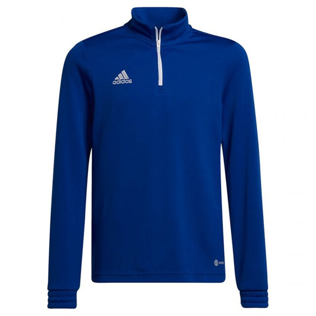 Adidas Kinder/kids entrada 22 trainings top UTMR2263_blue large