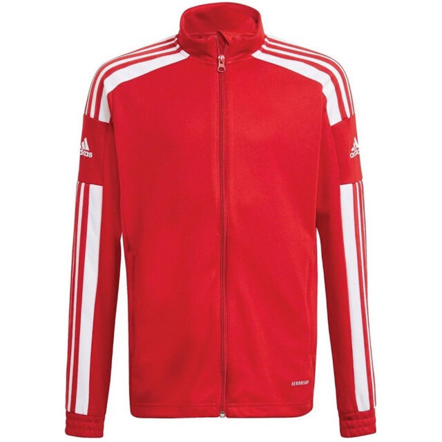 Adidas Heren squadra 21 presentatiejas UTMR2219_red large
