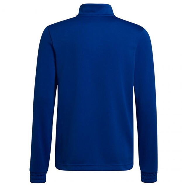 Adidas Kinder/kids entrada 22 trainings top UTMR2263_blue large