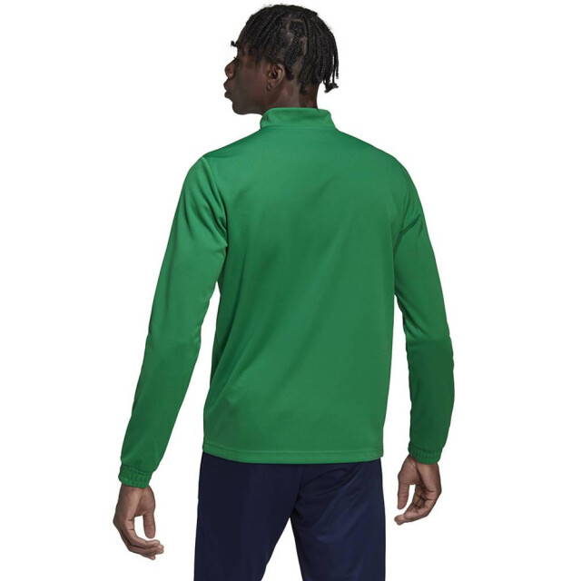 Adidas Heren entrada 22 trainings top UTMR2269_green large
