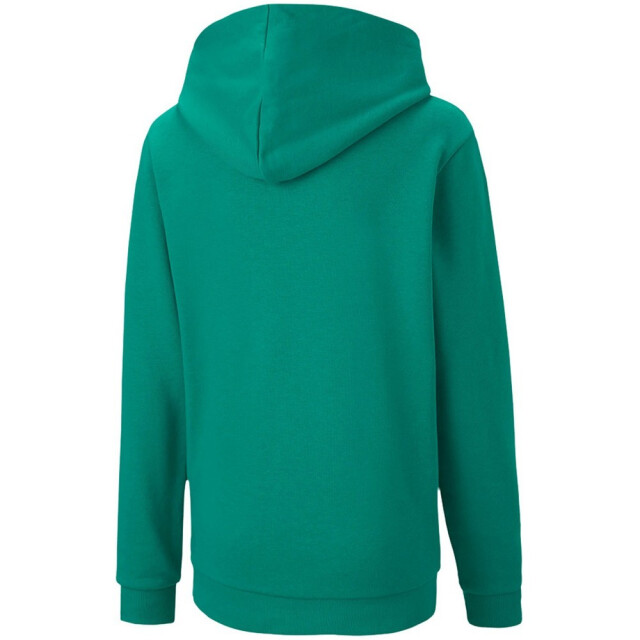 Puma Kinderen/kinderen teamgoal 23 casual hoodie UTMR2221_green large