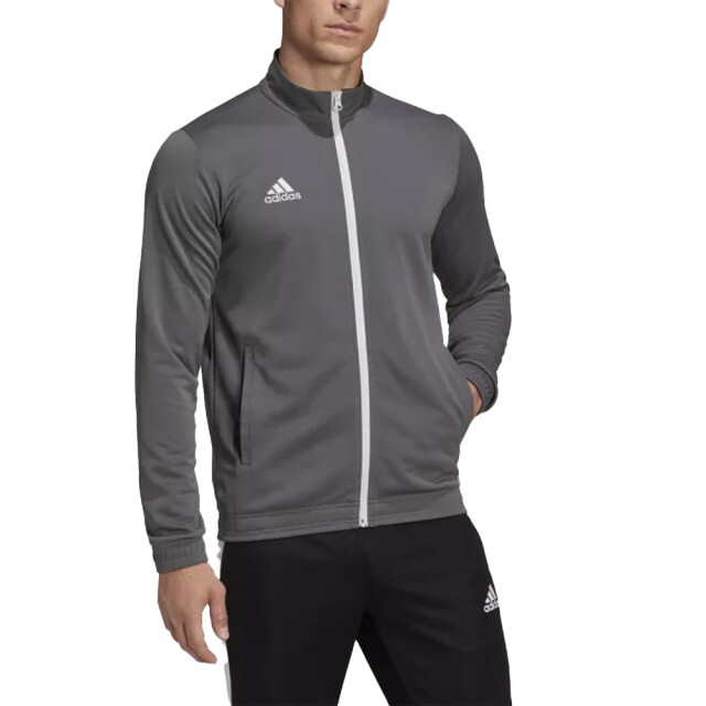 Adidas Heren entrada 22 track jacket UTMR2248_greysilver large
