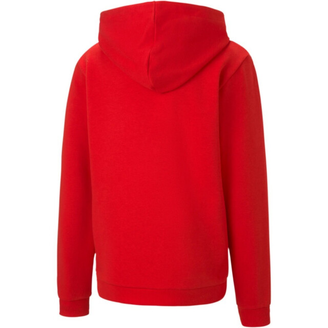Puma Kinderen/kinderen teamgoal 23 casual hoodie UTMR2221_red large