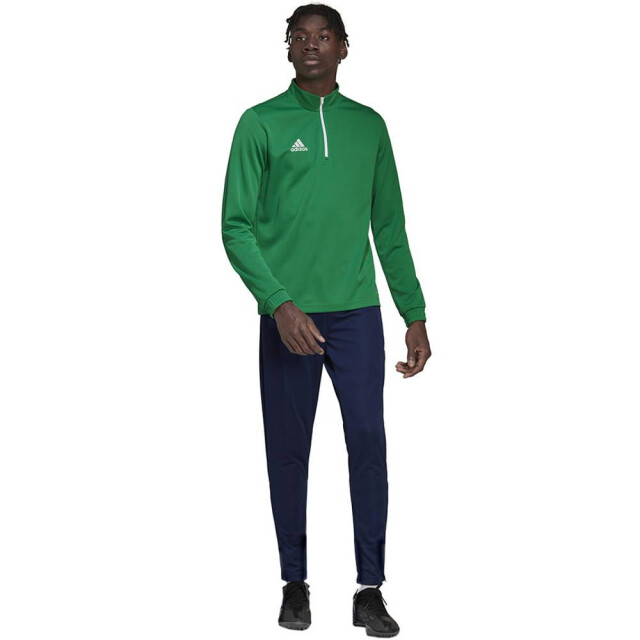 Adidas Heren entrada 22 trainings top UTMR2269_green large