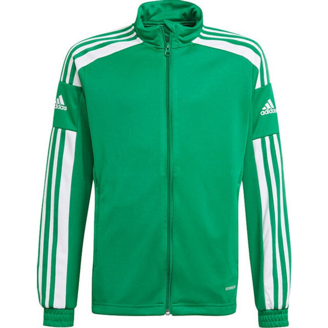 Adidas Heren squadra 21 presentatiejas UTMR2219_green large
