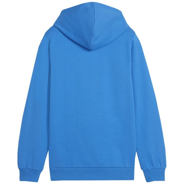 Puma Kinderen/kinderen teamgoal 23 casual hoodie UTMR2221_blue large