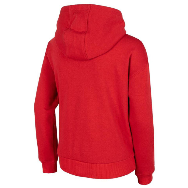 4F Jongens speler hjz2 jblm006 hoodie UTMR2007_red large
