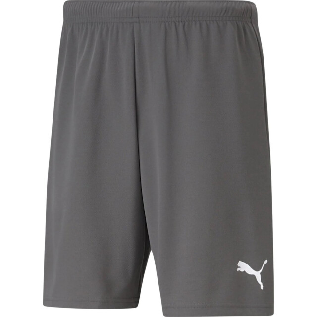 Puma Heren teamrise sweat shorts UTMR1922_grey large