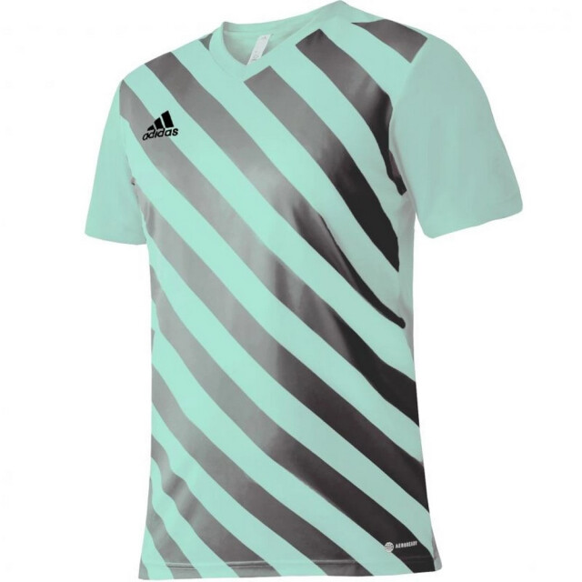 Adidas Kinder/kids entrada 22 grafische trui UTMR1988_greengrey large