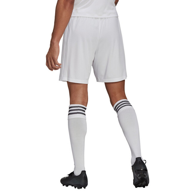 Adidas Heren squadra 21 korte broek UTMR1858_white large