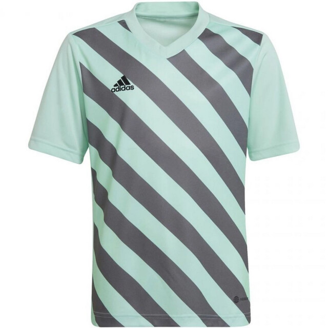 Adidas Kinder/kids entrada 22 grafische trui UTMR1988_greengrey large