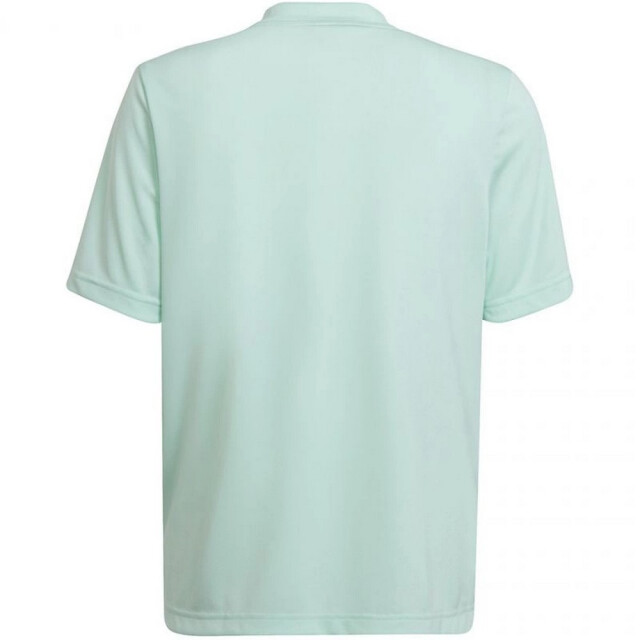 Adidas Kinder/kids entrada 22 grafische trui UTMR1988_greengrey large