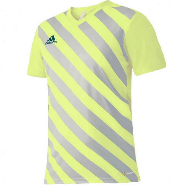 Adidas Kinder/kids entrada 22 grafische trui UTMR1988_yellowgrey large