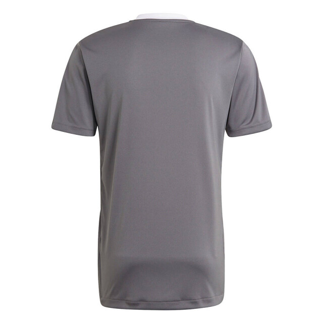 Adidas Heren tiro 21 trainingsshirt UTMR1793_greysilver large