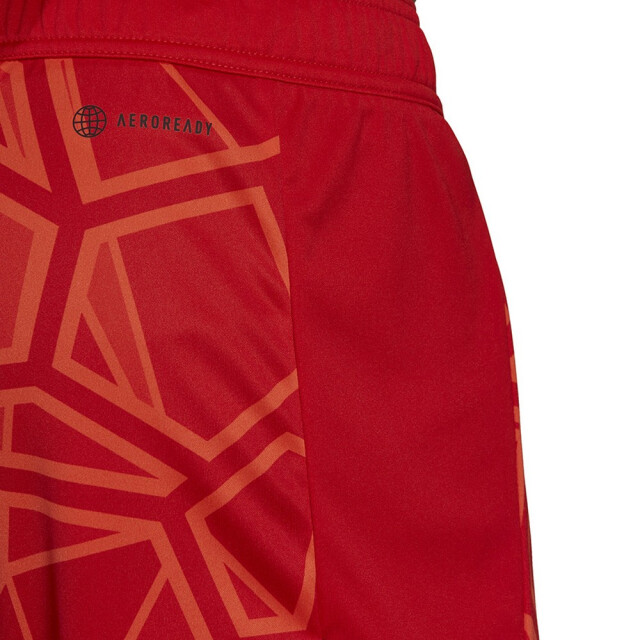 Adidas Heren condivo 22 keepershort UTMR1683_red large
