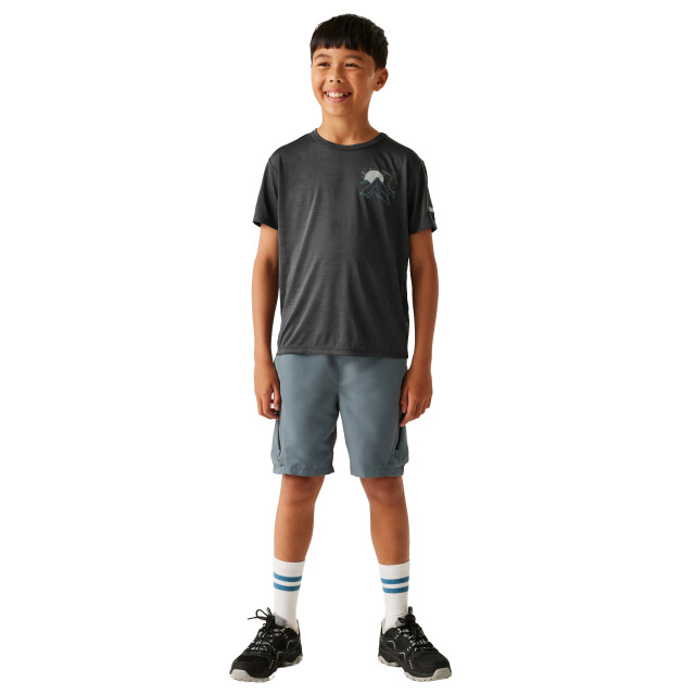 Regatta Kinderen/kinderen alvarado ix mountain marl t-shirt UTRG11369_sealgrey large