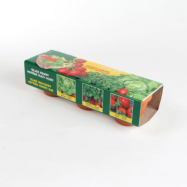 CaliCosy Set van 3 terracotta potten voor het zaaien van salades en tomaten 2929180 large