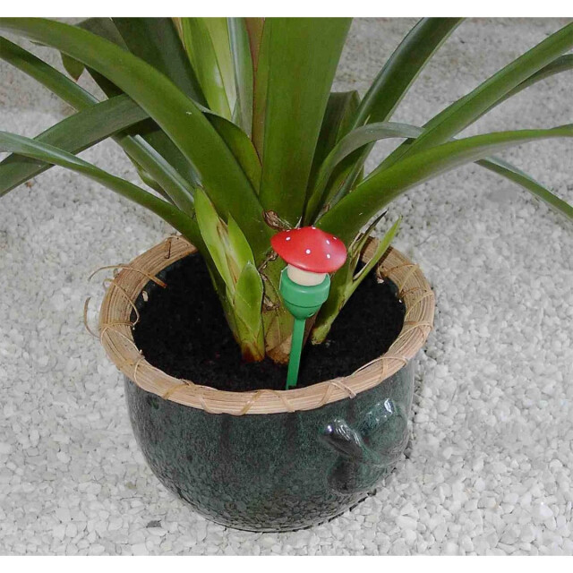 CaliCosy Wateringsysteem voor planten 2928209 large