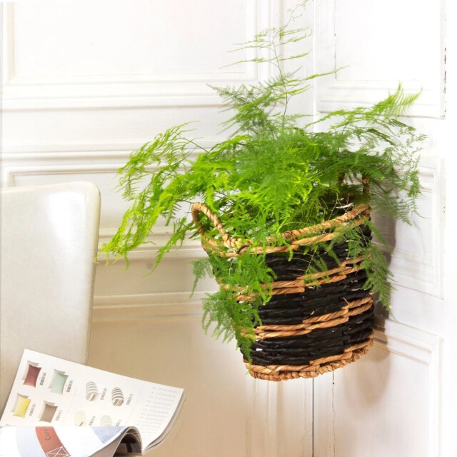 CaliCosy Waterhyacint mand met geometrisch patroon 30 x 34 cm 2928516 large
