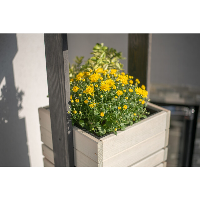 Westmann Maja houten plantenbak pilaar 50x50x170 cm - 3169342 large