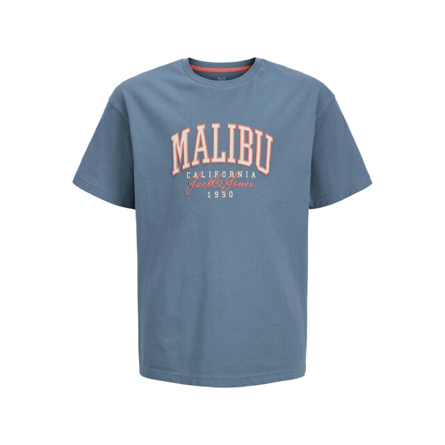 Jack & Jones Jjdetroit tee ss crew neck jnr 12269816 large