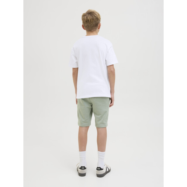 Jack & Jones Jjdetroit tee ss crew neck jnr 12269816 large