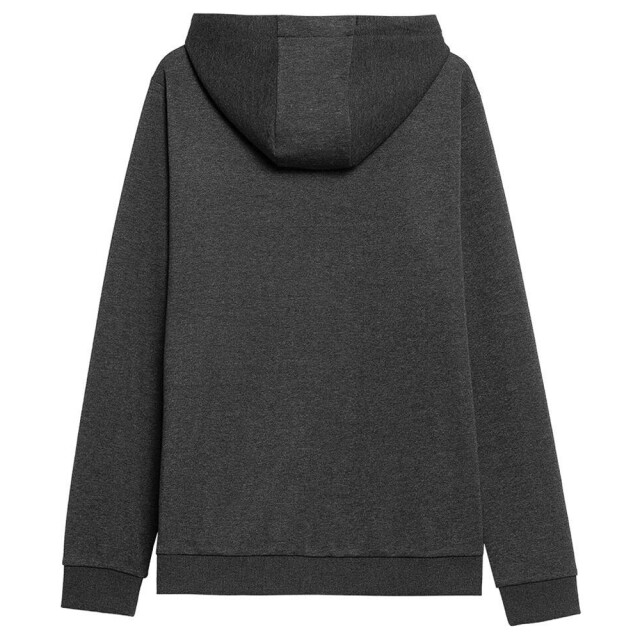 4F Heren h4z22 full zip hoodie UTMR1013_graphite large
