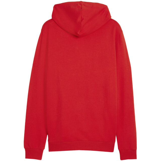 Puma Heren team doel hoodie UTMR757_red large