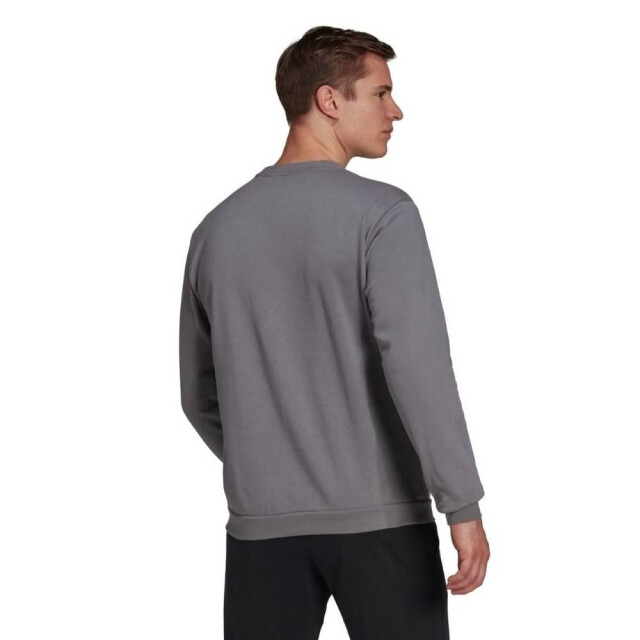 Adidas Heren entrada 22 sweatshirt UTMR528_greysilver large