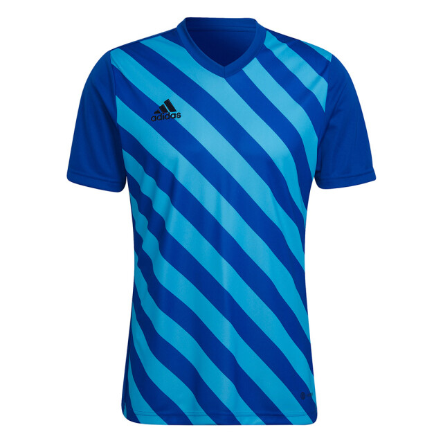 Adidas Heren entrada 22 grafische trui UTMR572_blue large