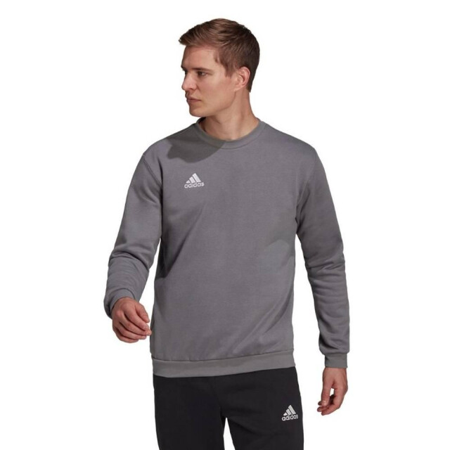 Adidas Heren entrada 22 sweatshirt UTMR528_greysilver large