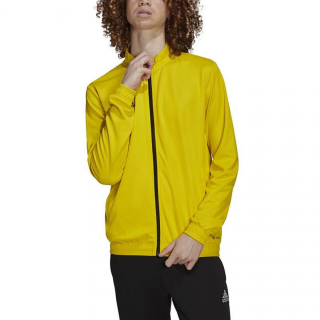 Adidas Heren entrada 22 tracksuit top met volledige rits UTMR2018_yellow large