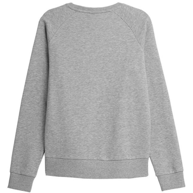 4F Dames nosh4-bld350 sweatshirt UTMR1805_greysilver large