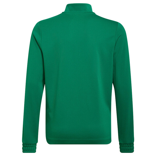 Adidas Kinderen/kinderen entrada 22 trainings sweatshirt UTMR1614_green large