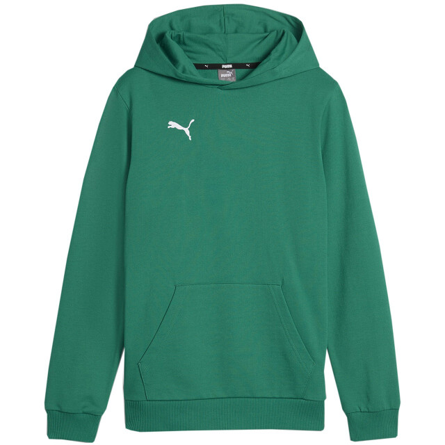 Puma Kinderen/kinderen team goal casual hoodie UTMR1654_green large