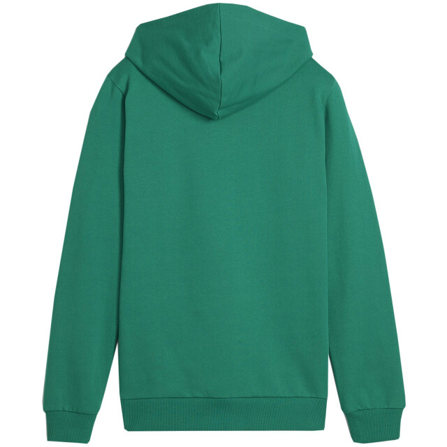 Puma Kinderen/kinderen team goal casual hoodie UTMR1654_green large